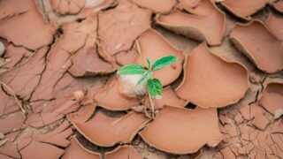 Sumur Bor Bojonegoro